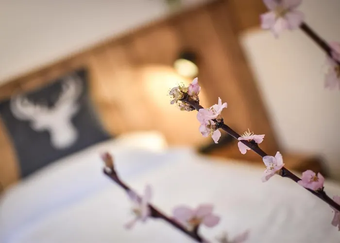 Luxx - - Lechtal - Arlberg 豪尔兹高