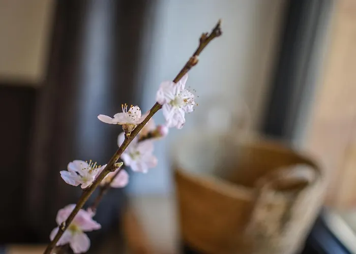 公寓 Luxx - - Lechtal - Arlberg 豪尔兹高