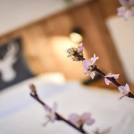 Luxx - - Lechtal - Arlberg Holzgau