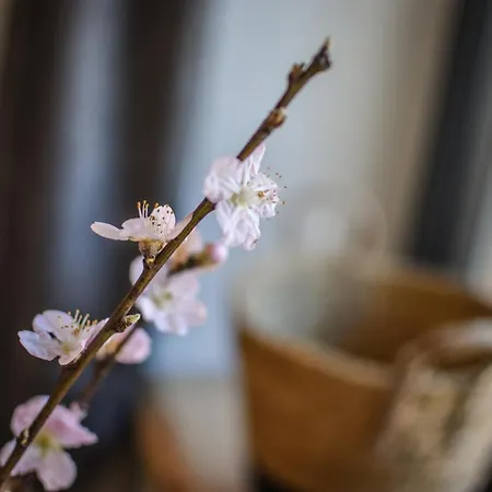 Appartement Luxx - - Lechtal - Arlberg Holzgau